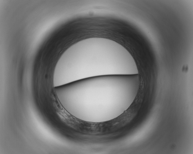 X0000113960383200909251032
