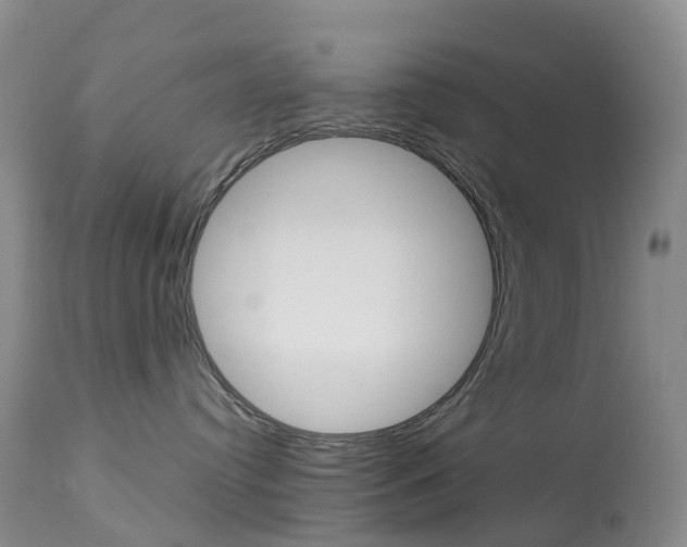 X0000113960384200909251032