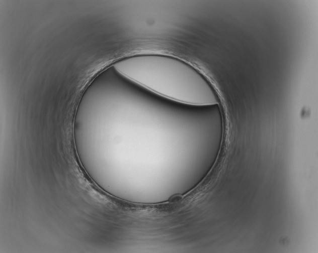 X0000113960385200909251032