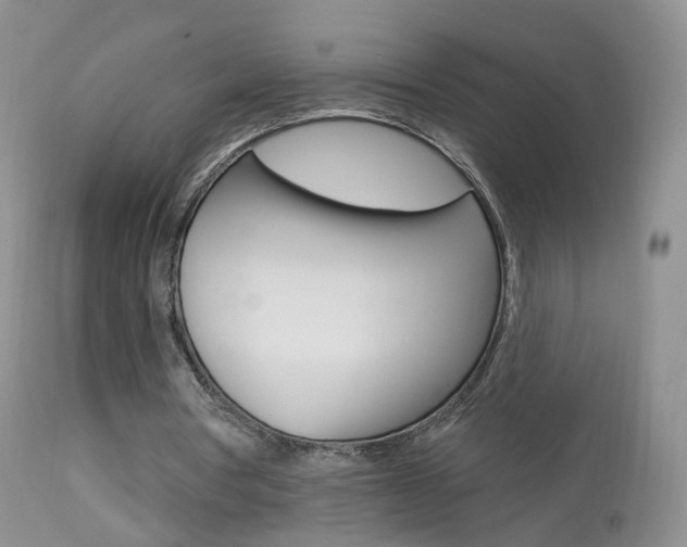 X0000113960386200909251032