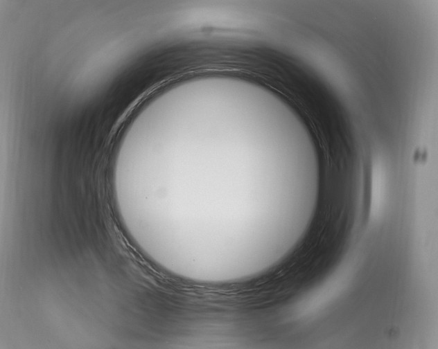 X0000113960387200909251032