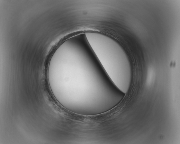 X0000113960388200909251032