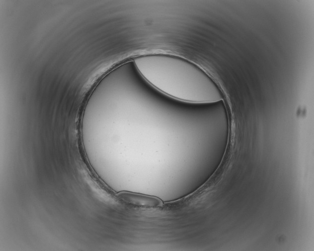 X0000113960389200909251032