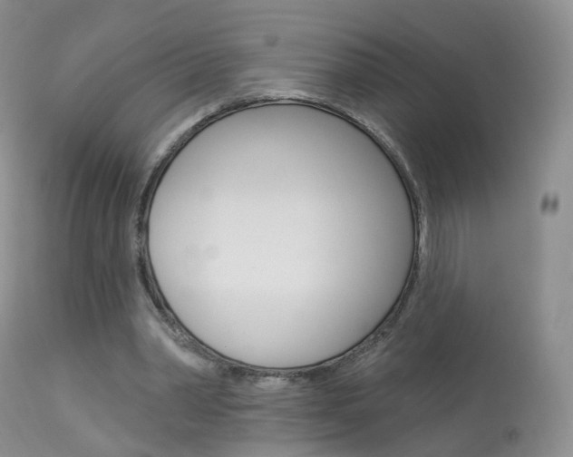X0000113960390200909251032