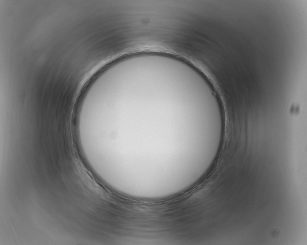 X0000113960391200909251032