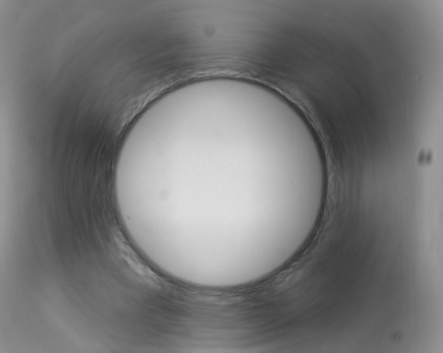 X0000113960393200909251032