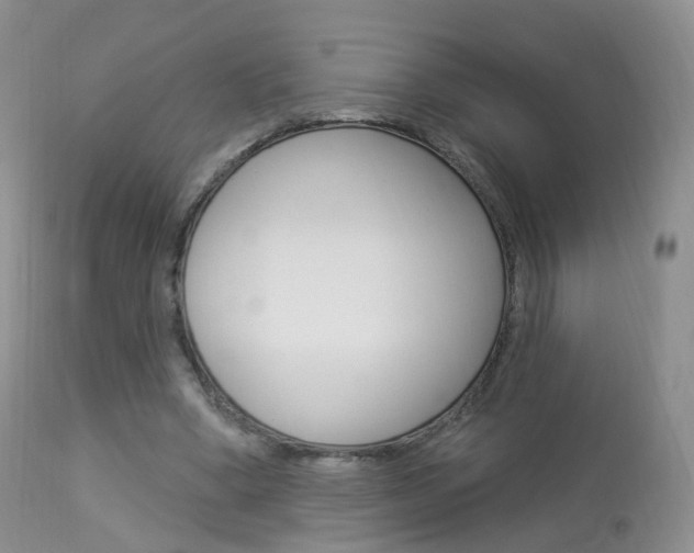 X0000113960394200909251032