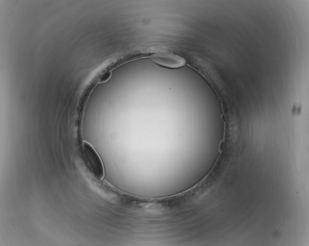 X0000113960395200909251031