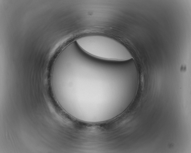 X0000113960396200909251031