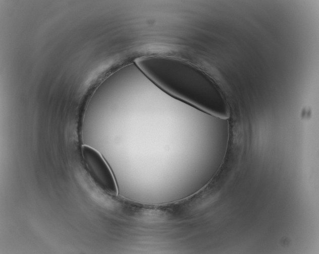 X0000113960399200909251031