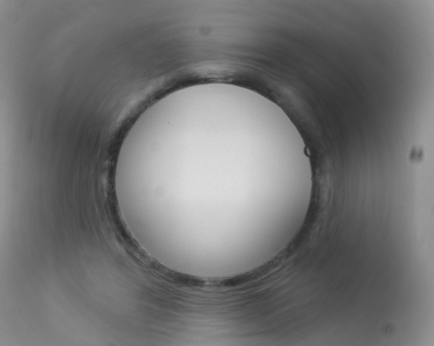 X0000113960404200909251031