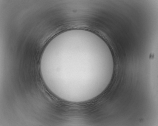 X0000113960405200909251031