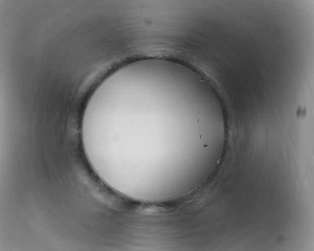 X0000113960407200909251031