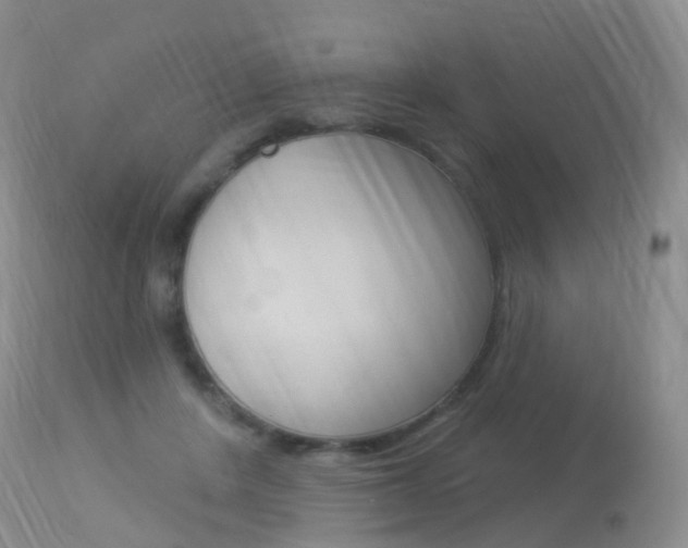 X0000113960408200909251031