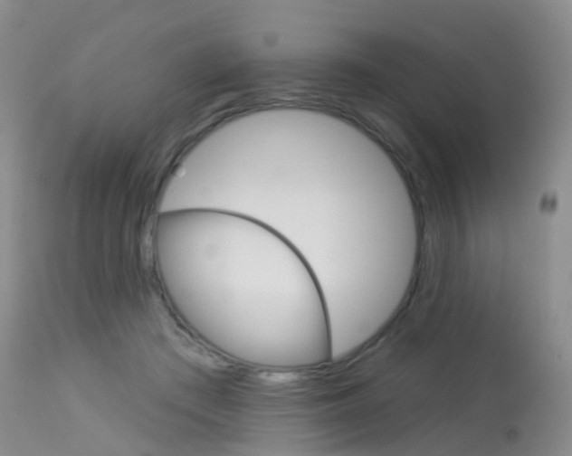 X0000113960409200909251031