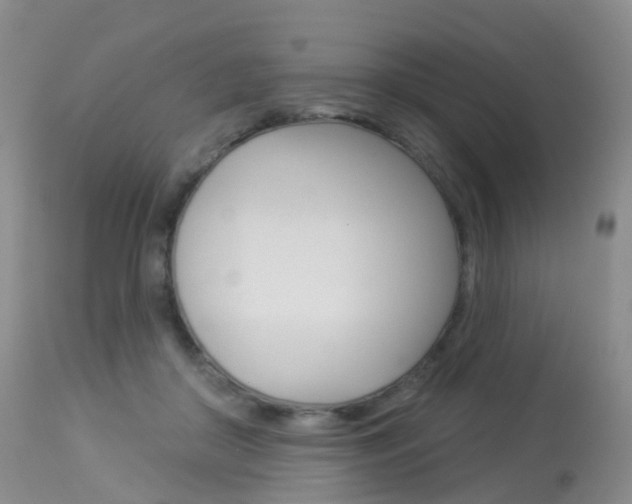 X0000113960410200909251031