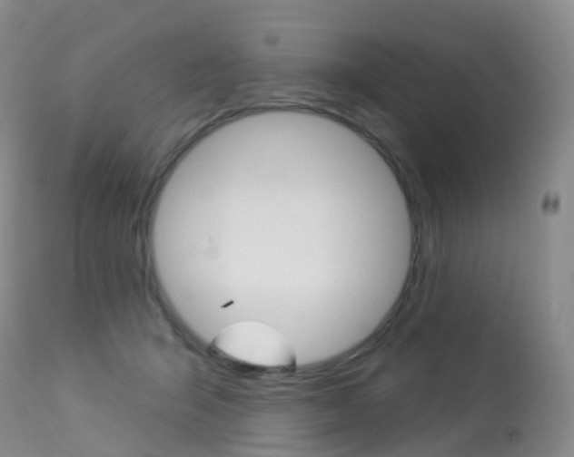X0000113960415200909251031
