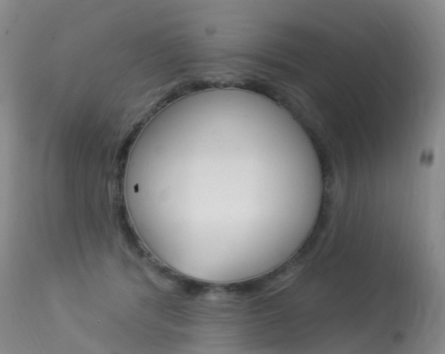 X0000113960416200909251031