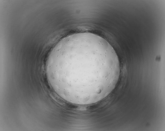 X0000113960418200909251031