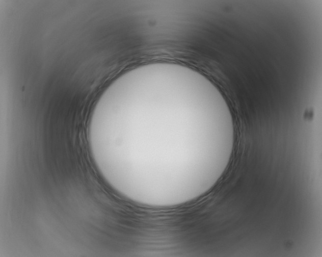 X0000113960419200909251031