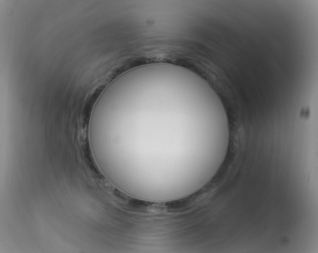 X0000113960420200909251031