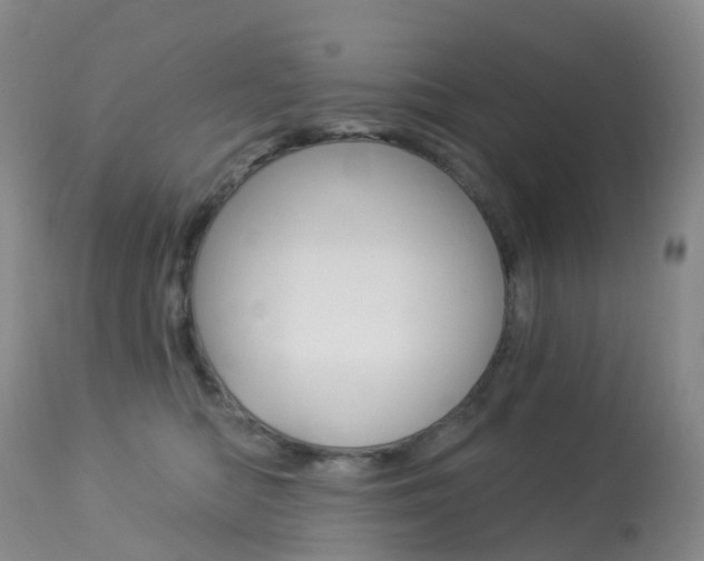 X0000113960422200909251031