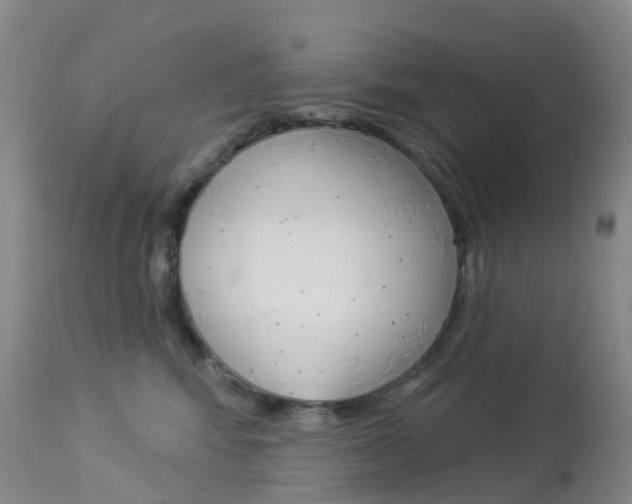 X0000113960424200909251031