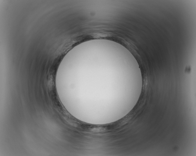 X0000113960426200909251031