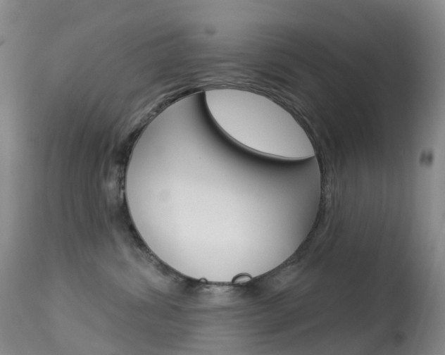 X0000113960428200909251031