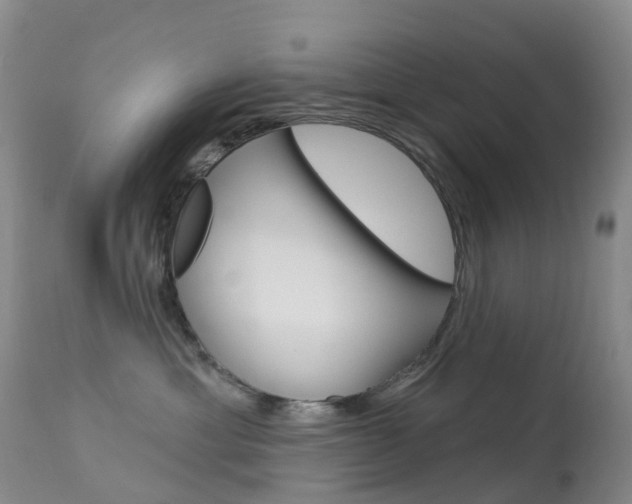 X0000113960429200909251031