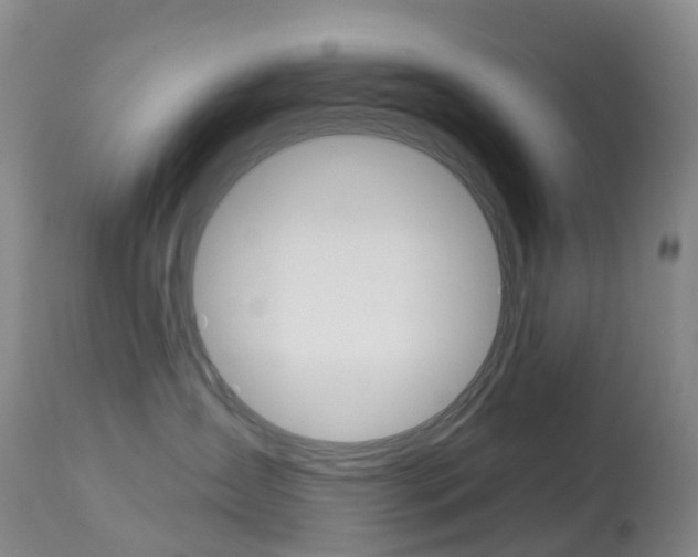 X0000113960431200909251031