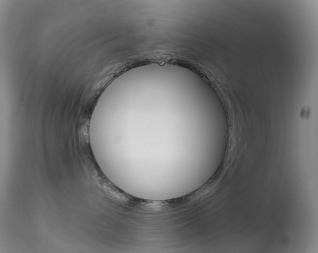 X0000113960432200909251031