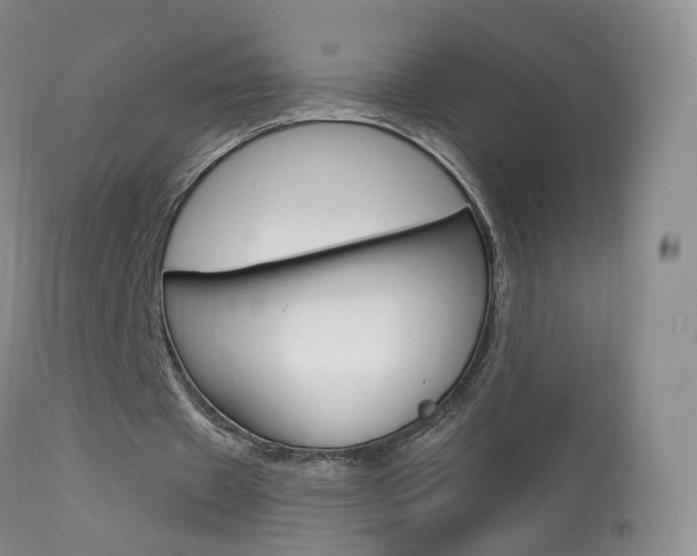 X0000113960433200909251030