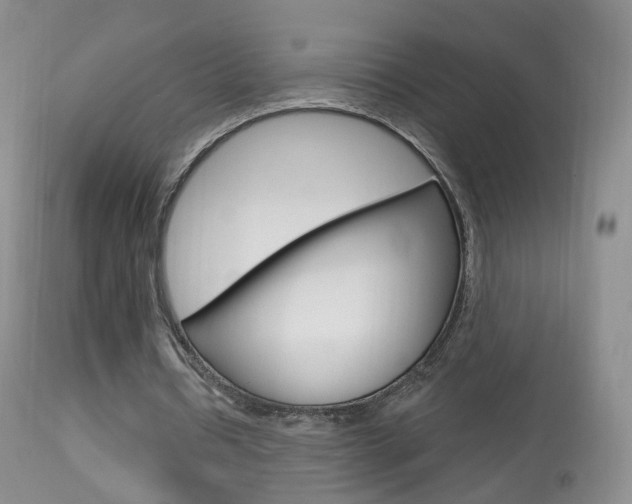X0000113960434200909251030
