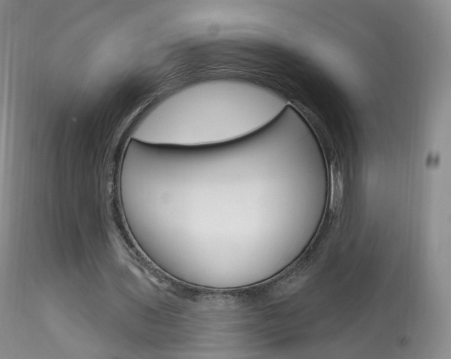 X0000113960435200909251030