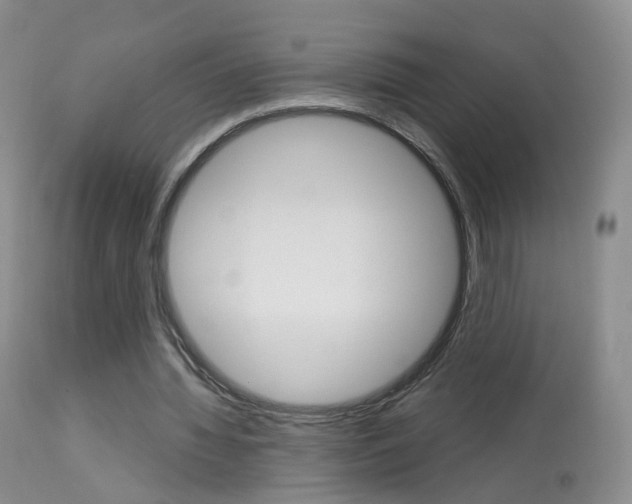 X0000113960436200909251030