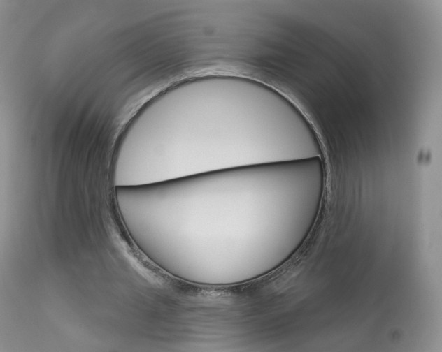 X0000113960437200909251030