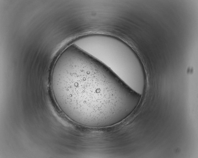 X0000113960438200909251030