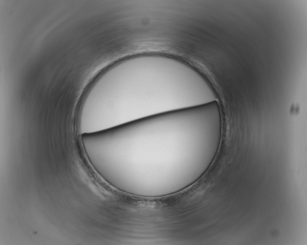 X0000113960439200909251030