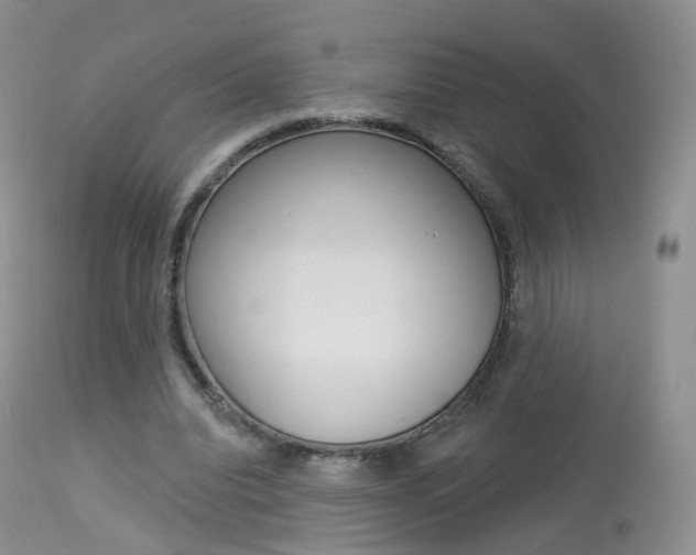 X0000113960440200909251030