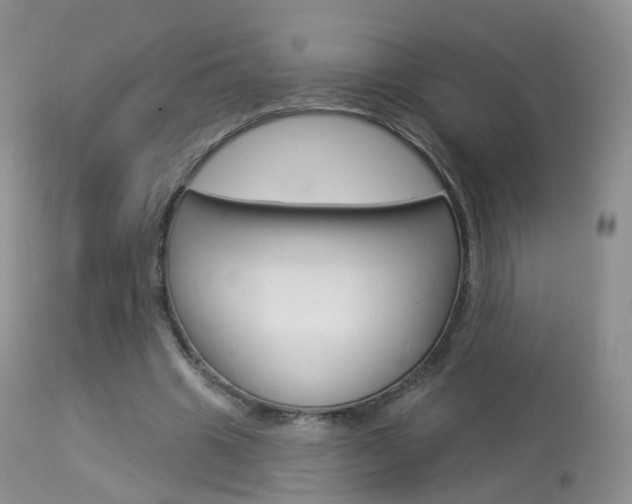 X0000113960441200909251030