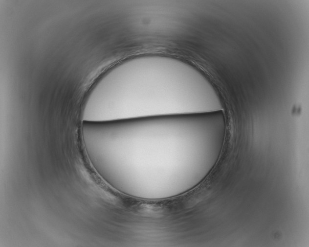 X0000113960442200909251030