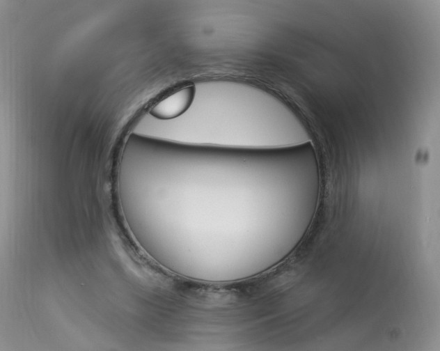 X0000113960443200909251030
