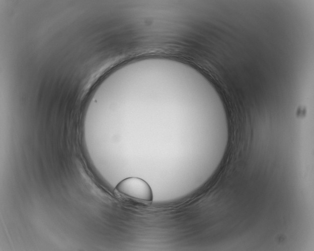 X0000113960444200909251030