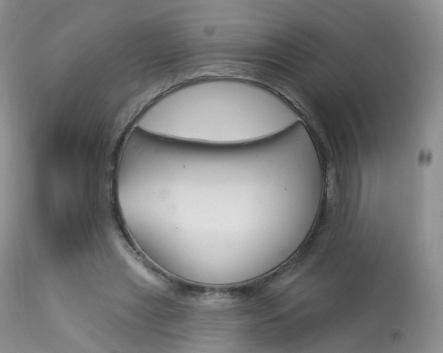 X0000113960445200909251030