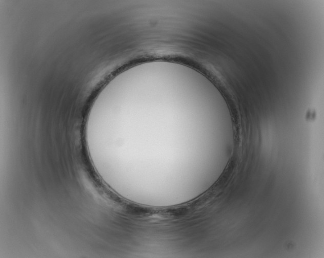 X0000113960447200909251030