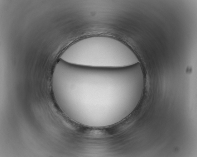 X0000113960449200909251030