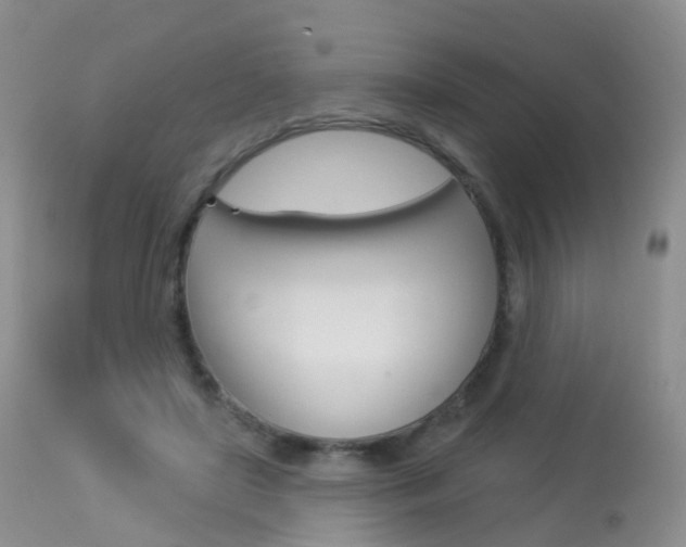 X0000113960451200909251030