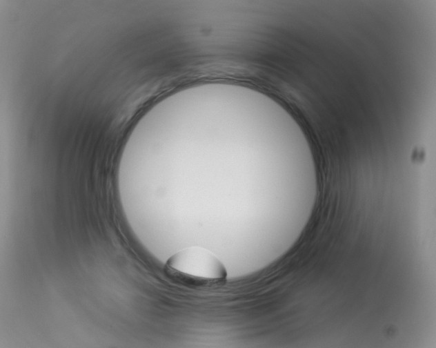 X0000113960452200909251030