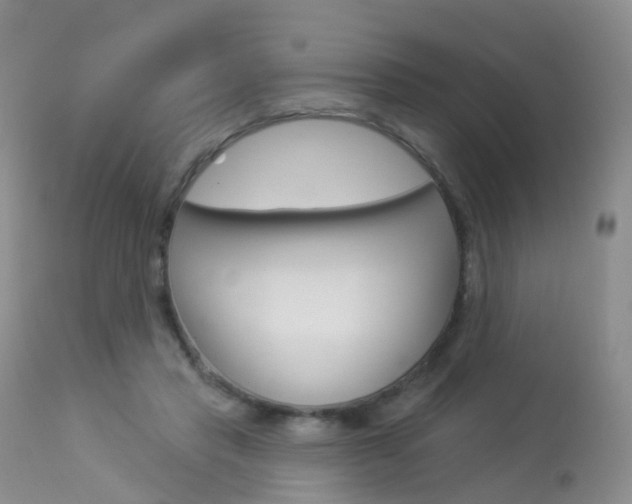 X0000113960453200909251030